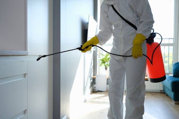 Mold Removal and Inspection in Celebration, FL